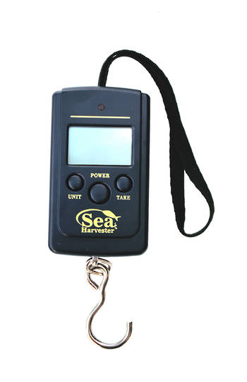 Scales - weighs up to 40kg